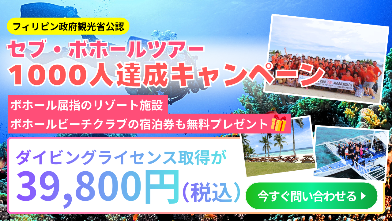 今すぐ問い合わせる